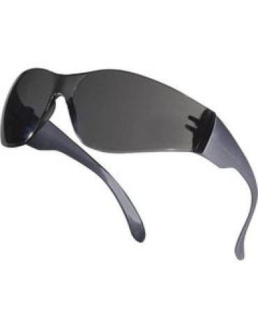 Очки открытые DeltaPlus™ BRAVA2 SMOKE